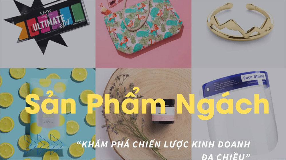 Sản phẩm ngách: Khám phá chiến lược kinh doanh đa chiều cho doanh nghiệp vừa và nhỏ