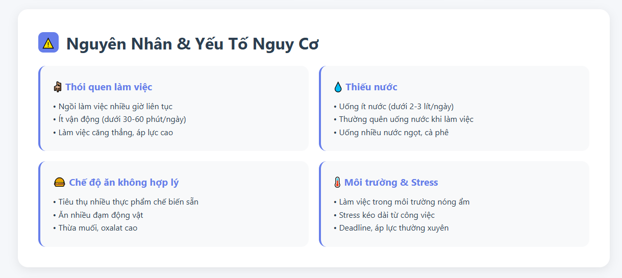 Sỏi thận ở giới trẻ: Khi deadline quan trọng hơn sức khỏe (2)