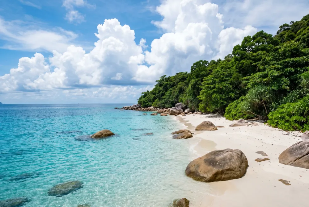 Bãi Nhát — Hoang sơ nhất list, không dành cho người vội